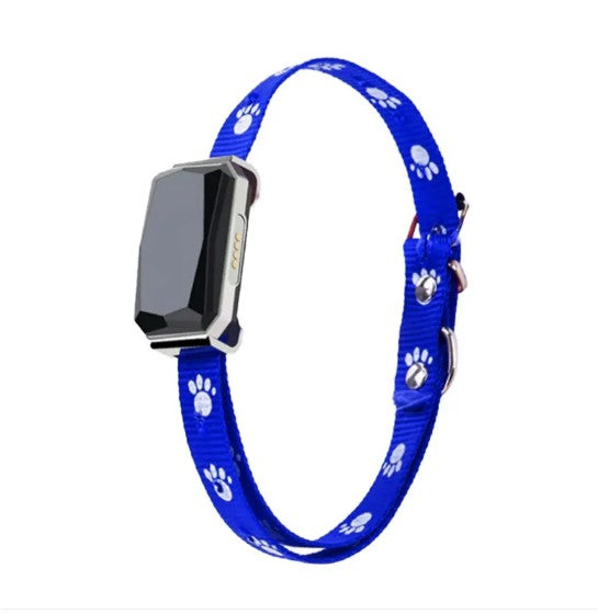 PathFinder™ GPS Tracking Collar | Real-Time Location & Safety