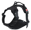 RidgeGuard™ Reflective Adventure Harness & Leash Set