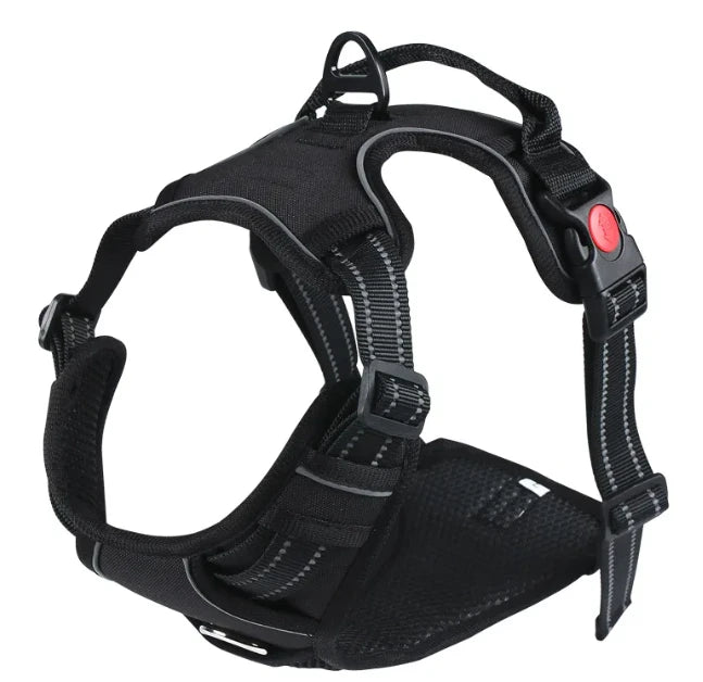 RidgeGuard™ Reflective Adventure Harness & Leash Set