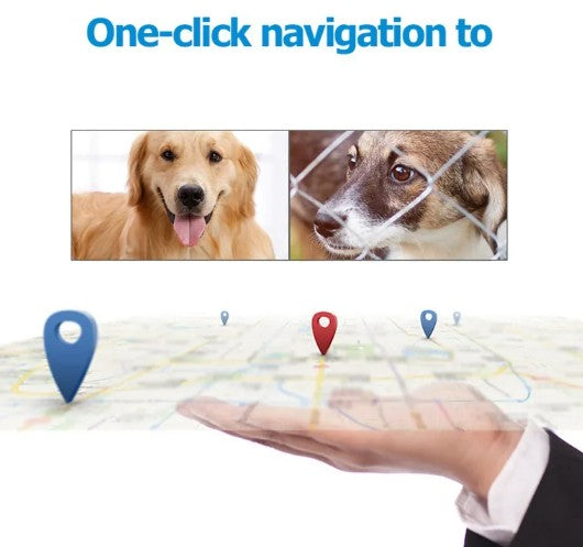 PathFinder™ GPS Tracking Collar | Real-Time Location & Safety