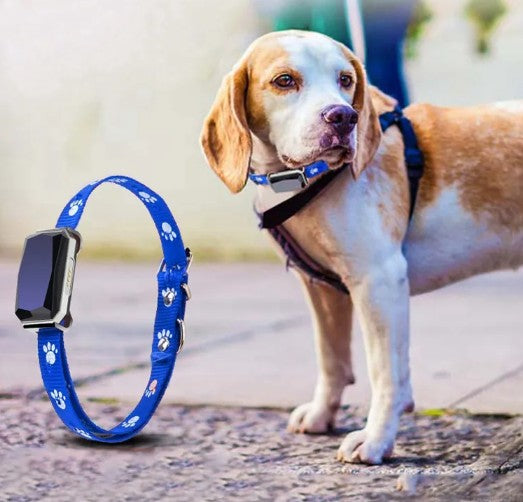 PathFinder™ GPS Tracking Collar | Real-Time Location & Safety