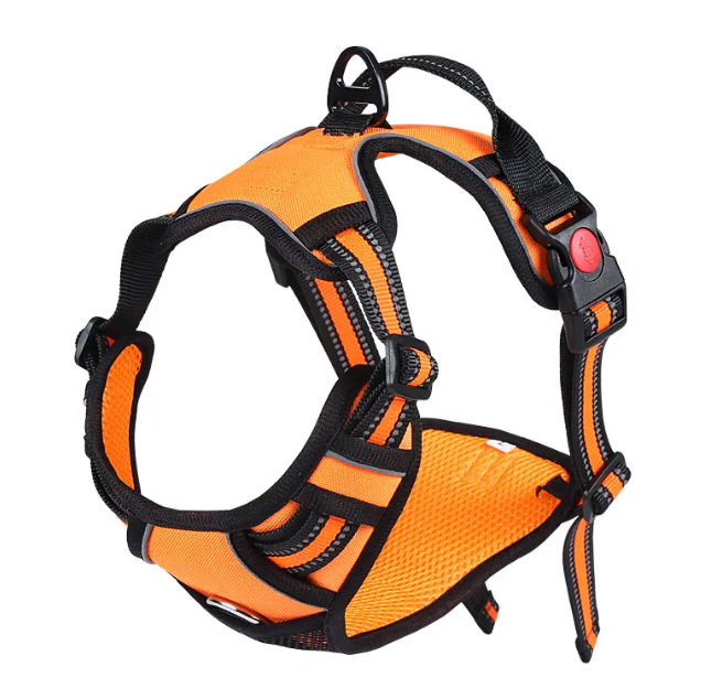 RidgeGuard™ Reflective Adventure Harness & Leash Set
