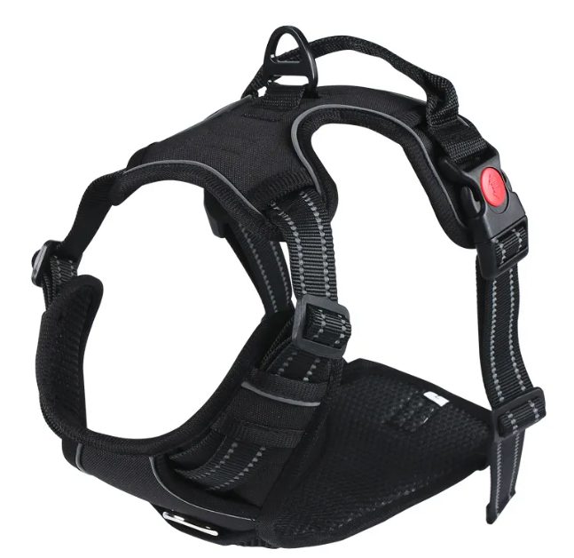 RidgeGuard™ Reflective Adventure Harness & Leash Set