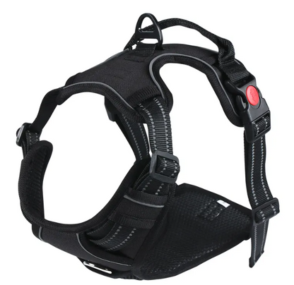 RidgeGuard™ Reflective Adventure Harness & Leash Set