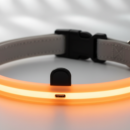 LED Light-Up Pet Collar Detail