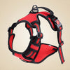 RidgeGuard™ Reflective Adventure Harness & Leash Set