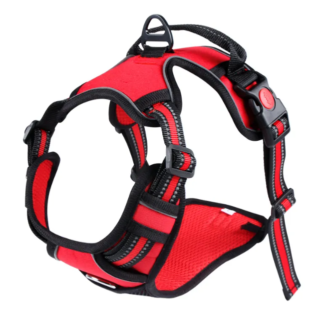 RidgeGuard™ Reflective Adventure Harness & Leash Set