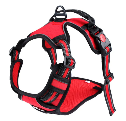 Reflective Oxford Dog Harness Vest & Leash Set