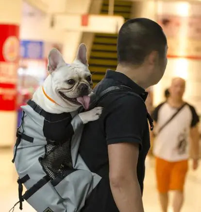 The Peak-Path Pro | Breathable Adventure Hiking Pet Carrier