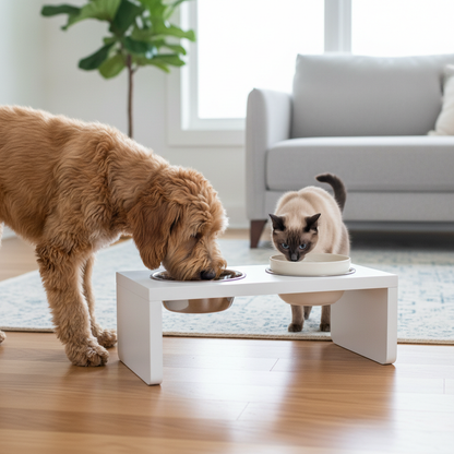 White Elevated Pet Bowls